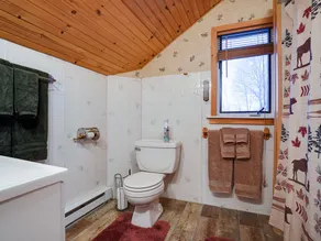 Home in Tupper Lake - Image 5