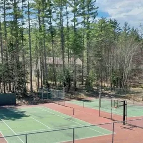 North Conway, Storyland, Echo Lake, Cranmore, Hiking, Hot tub, Pool, Fire Pit. - Image 5