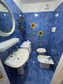 Appartamento direttamente a lago con spiaggia e pontili - Image 3