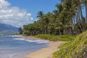 Kihei Garden Estates #H201 - Image 3