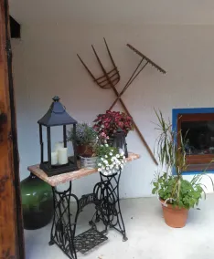 Urlaubspension Die Mühle - Image 5