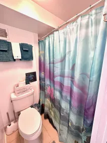 Beachfront Condo with Ocean View - Image 5