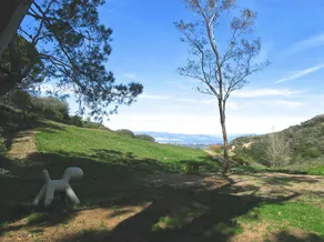 Topanga Mountain Paradise - une escapade de rêve - Image 2