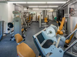 Masers Allgauherz - Image 5