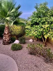 Perfect North Scottsdale location for golf, dining, hiking and more. - Image 4