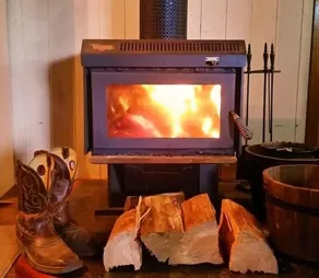 Bellthorpe Stays- Bowerbird Cabin: nature-based accommodation. Pooches permitted - Image 2