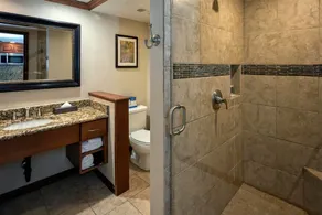 Gorgeous Views. 9 Hot Tubs. Ski-in/Ski-out Studio! - Image 4