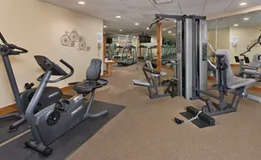 Wyndham Galena Resort |2BR/2BA King Bed Balc Suite - Image 3