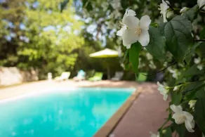 Cottage for 4 in a small village near Uzès, with garden, pool and airco - Image 5