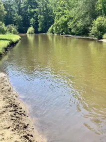Süße Hütte am Fluss! Staatsland, nur wenige Schritte entfernt zum Jagen! - Image 5