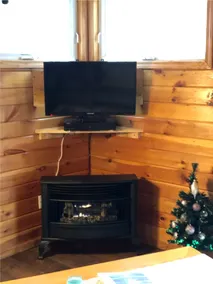 Dejligt sommerhus - minutter fra Pulaski, fantastisk fiskeri!, # 3 - Image 3