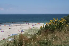 Strandnahes Ferienhaus für 2 bis 3 Personen auf großem Grundstück, ruhige Lage. - Image 3