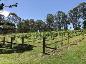 Farm and Vineyard with private resort style pool - Image 4