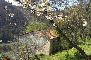 Apartment mit Garten und Meerblick - Image 2