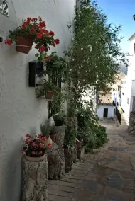 The countryside of Cruzchiquita - Image 3
