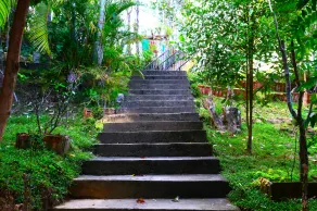 Hill Forest Cottage - Image 2