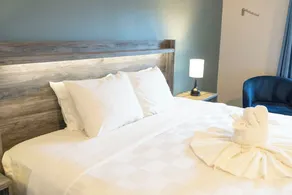 Downtown King room w/ San Juan River & Mtn Views - Image 5