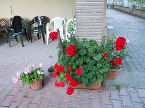 Agriturismo Monti Sibillini Camperato - Image 4