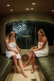 Luxury wellness Villa Fridhem - Image 3