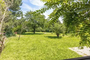 Charming House with Garden Access - Image 4