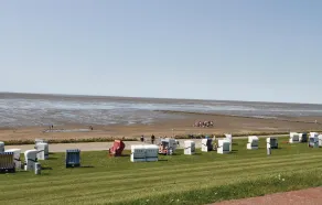Friedrichskoog-Deichblick 8 - Image 5
