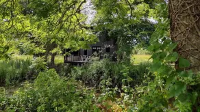 The Water Shack - Amazing tiny house retreat - Image 3