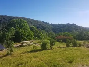 Cévenol stuga på landsbygden nära Anduze och bambuplantagen - Image 3