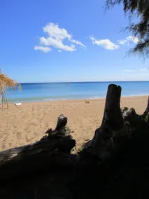 STONE'S THROW BEACH STUDIO - next to the Sea - Image 3