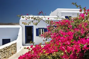 Fulfill Your Holiday Dreams at Panormos - Image 4