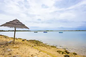 Ferienhaus 20 Meter vom Meer entfernt - Image 5