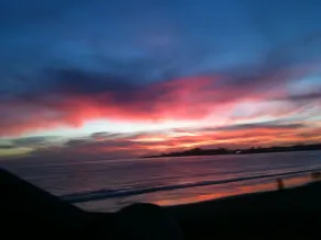 Seascape Garden Studio Minutes From Ocean Or Redwoods - Image 3