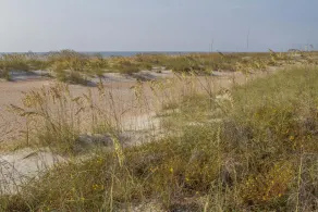 Ocean View Villa ~ Fenced Yard ~ Pet Friendly ~ Steps to the Beach!!! - Image 5