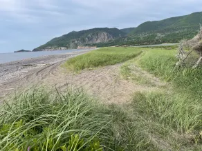 Cozy cottage w/sunset views + quick walk to a private beach (dog friendly!) - Image 4