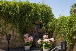 Location, Location , Location: Gorgeous, Clean, Private Casita w/Patio - Image 5