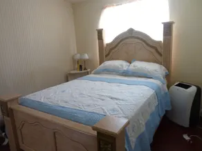 Barry's Place: A Village Experience - Image 3