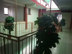 Ideal Hotel - Image 5