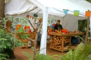 Wild Camp Night: Privata Camp Experience | 4 tält - Image 3