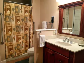Cabine 2 Bd 2 Ba isolée près de la ville Rushing Creek Spa adapté aux personnes handicapées - Image 5