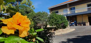 Villa - Image 2