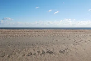 Oceanfront, Pristine 1br 1 Ba Condo, Relax And Rejuvenate By The Sea. - Image 5