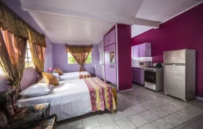 Fully equipped unique self-contained cozy apartments ideal for couples/families. - Image 5