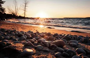 ✨Awenda Provincial Park Dream Cottage✨💫🏡🧿 ** Hot Tub & Dog Friendly ** - Image 5