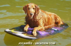 Lake Jocassee South Carolina ~ Bester Mietpreis - Image 4