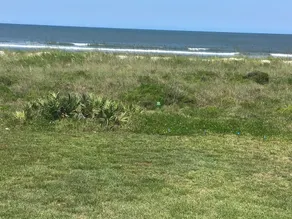 Direct Oceanfront Seaside Retreat Close to Vilano.  St Augustine,  Amazing Views - Image 4
