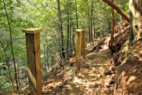 The Woods at The Retreat at Deer Lick Falls - Image 1