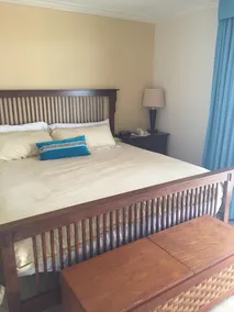 Luxury Island Condo Located on Divi Golf Course in Sunny Aruba - Image 5