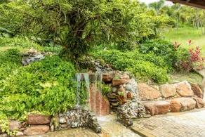 Selva Serena - Image 2