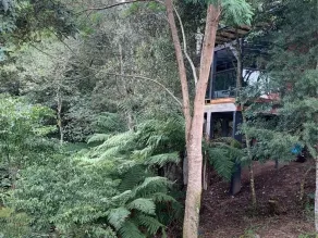 Floresta Secreta- Pousada Cachoeira da Neve - Image 3