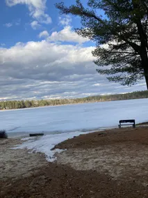 Secluded Country Cabin with semi-private Beach on Private Lake. - Image 3