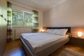 Ela Apartments - 1, 1 værelses lejlighed i den alpine landsby Dovje (sover 2-4) - Image 4